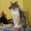 Отзыв от Таисия Самойлова